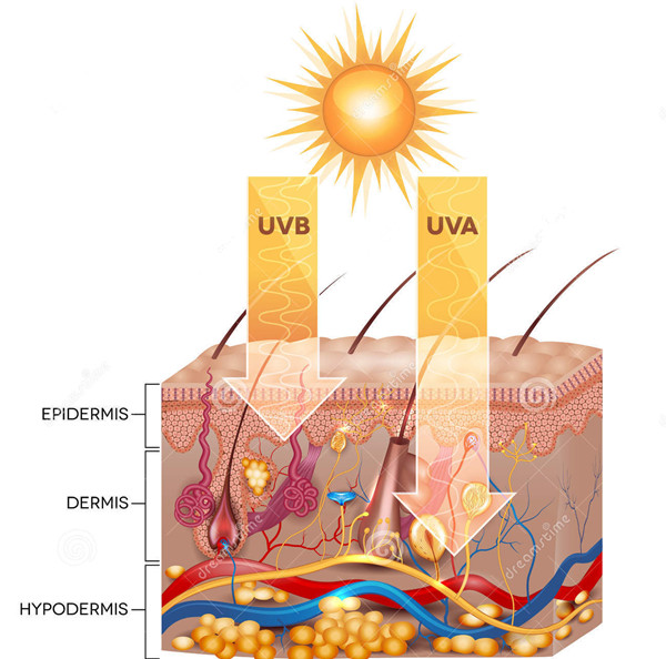 uva uvb uvc rays 