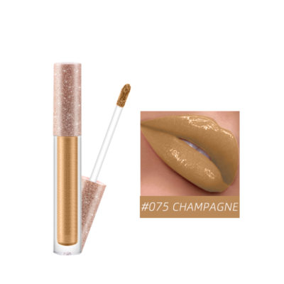 CHAMPAGNE LIP GLOSS,QBEKA Lip Gloss,lipstick,lip glaze,makeup