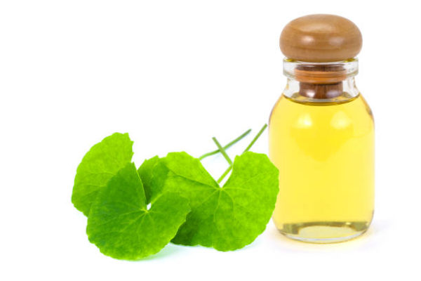 Centella Asiatica Extract